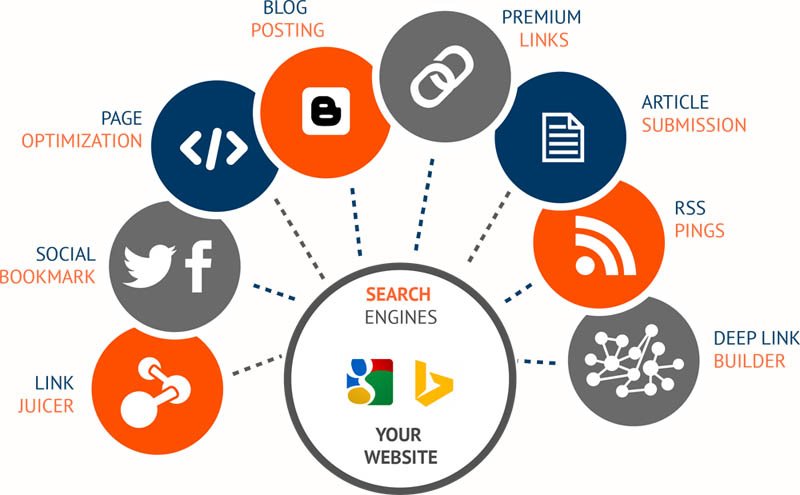 Các thuật ngữ về seo backlink là gì ?