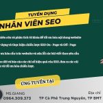 Nhân Viên SEO WEB